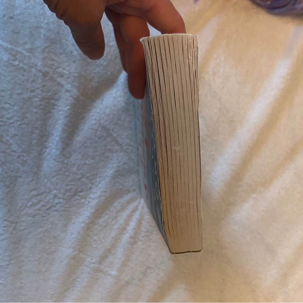 Every Summer After Novel - Picture 3 of 4